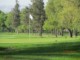 CAMPO DE GOLF